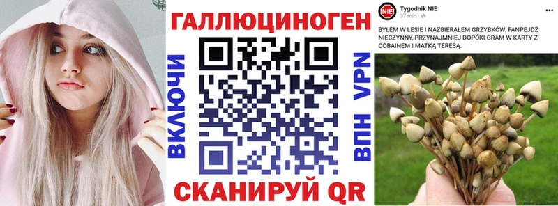 MEGA как зайти Избербаш Псилоцибиновые грибы прущие грибы
